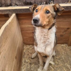 MARAY - Mobbingopfer-Notfall - auf PDR PS im PLZ Bezirk 82 - ausgereist