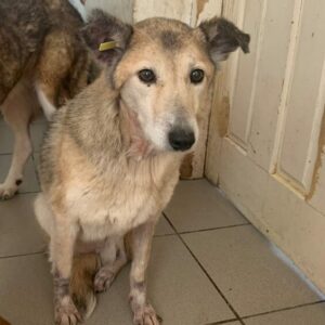 TANTE ELLA - reserviert Rösrath vermittelt