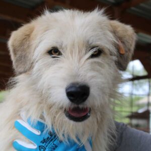 EKKI - vermittelt Manuela