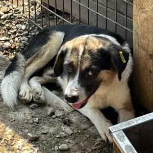 BARNEBY - vermisst 11/24