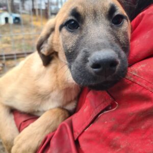 JARL - reserviert JW - vermittelt