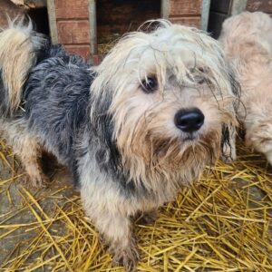 LARS BO - reserviert JW - vermittelt