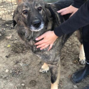 CINTHIA - reserviert Manuela vermittelt