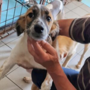 TINA - reserviert IH DR (02.10.) - vermittelt