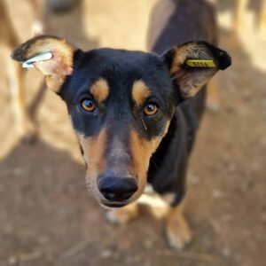 FLO - reserviert TH Iserlohn - vermittelt