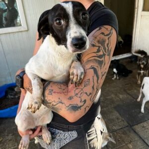 ZOE reist auf eine Pflegestelle in PLZ 21 (23.10.) - in Rumänien vermittelt 10/23