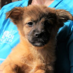 LYKKE - reserviert TH Filderstadt vermittelt