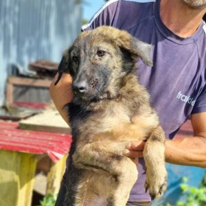 SWIZZLE - reserviert TH Koblenz vermittelt