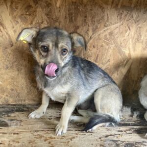 OLIVA - reserviert Manuela vermittelt