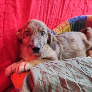 FEEDBACK - reserviert TST Rösrath vermittelt