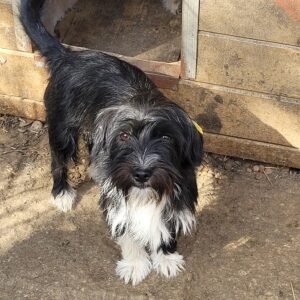 MATI - reserviert TST Rösrath vermittelt