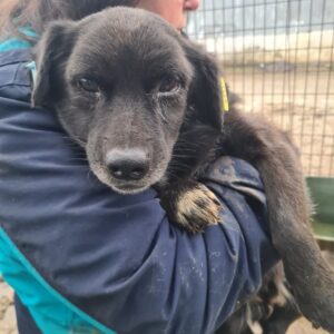 THADDÄUS - vermisst 04/23