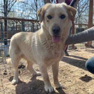 LEANDER - reserviert KM vermittelt