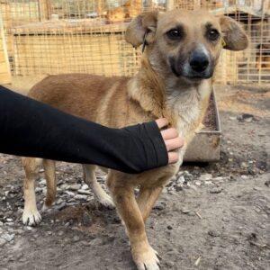 ILMA - ausgereist zum TST