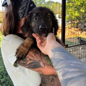 GORGO - vermittelt Manuela