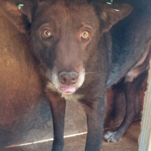 HUBI - vermisst 11/23