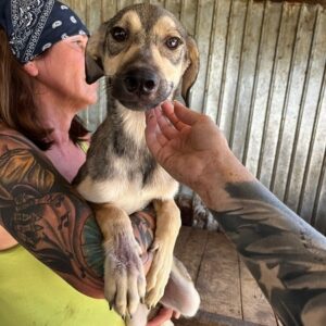 KANCHAY - ausgereist zum TH Limburg