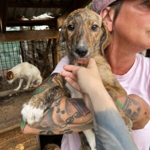 RENA - ausgereist zum PVA