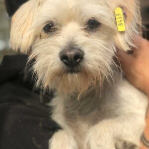 JASMIN - reserviert KM vermittelt