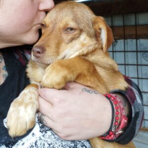 MAHJA - reserviert für Tierhilfe Lebenswert - vermittelt