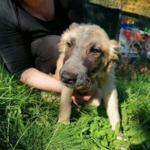 BERNHARD - vor Ort vermittelt 03/23