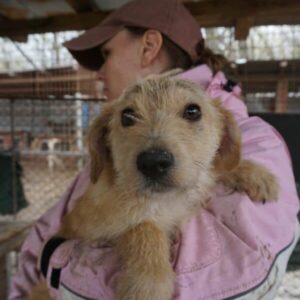 JORY - auf PDR PS im PLZ Bezirk 95 - vermittelt