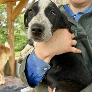 MELON - ausgereist zum KTH e.V.