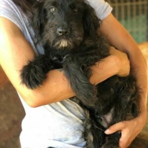 MATTHIAS - vermittelt Alexandra