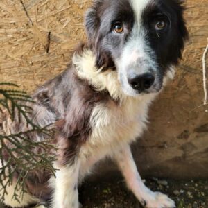 FILIPA - ausgereist zum KTH e.V.