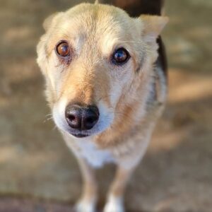 JONTE - ausgereist zum TH Filderstadt