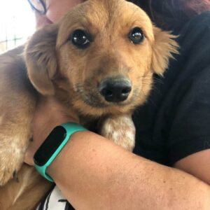 WONDER - reserviert TH Koblenz vermittelt