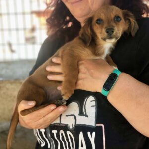 NASIRA - reserviert PVA vermittelt