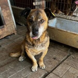 KITTO - ausgereist zum TH Iserlohn