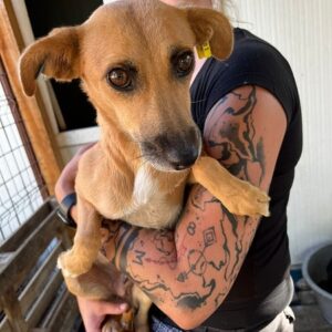 BIENCHEN - vermisst 11/23