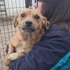 VALI - reserviert TH Wannigsmühle - vermittelt