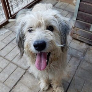 NIAMH - vermittelt Manuela