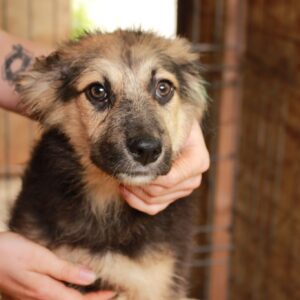 NARJA - reserviert TH Tuttlingen vermittelt