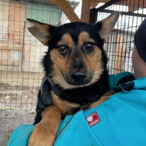 LUPITA (♀) - vermisst 11/24