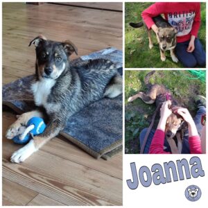 Joanna in 27299 Etelsen - vermittelt