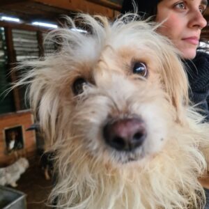 BUBBLE - reserviert Alexandra vermittelt