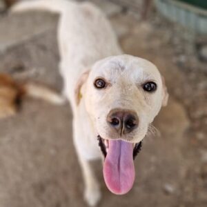 UNA - ausgereist zum TST Rösrath