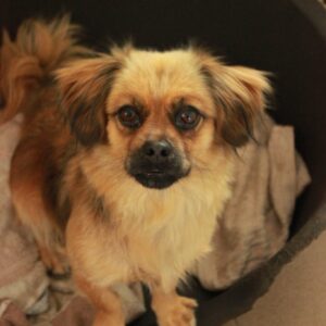 MARIPOSA - reserviert KM vermittelt