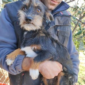 RANA - reserviert LS vermittelt