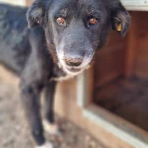 FLORENTINE - Notfall - RBB 11/2022