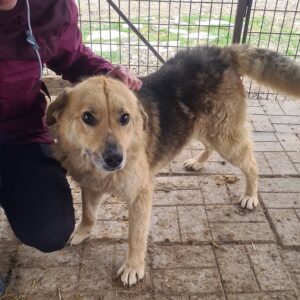 ANTARES -vermisst 11/24