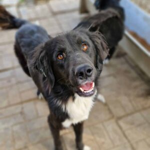 ELIAN - reserviert NadineH vermittelt