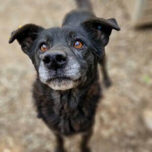 MYLOW - reserviert TH Wannigsmühle vermittelt