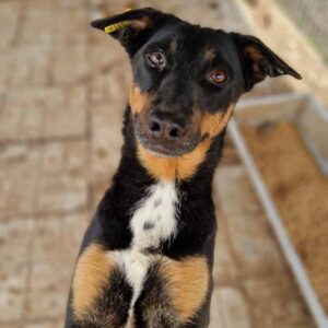 AFUERA (♀) - vermisst 11/24