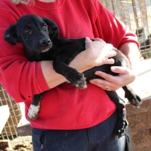 TUCKER - reserviert TH Filderstadt - vermittelt