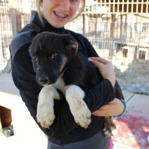 NUGATO - reserviert NadineH - vermittelt